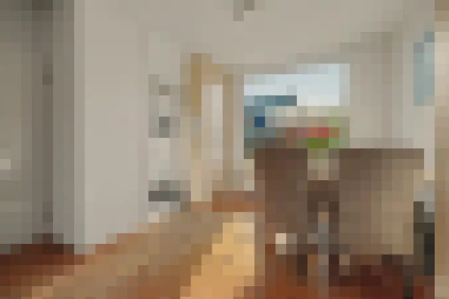 Sichuytdam 19 Rilland thumbnail 13