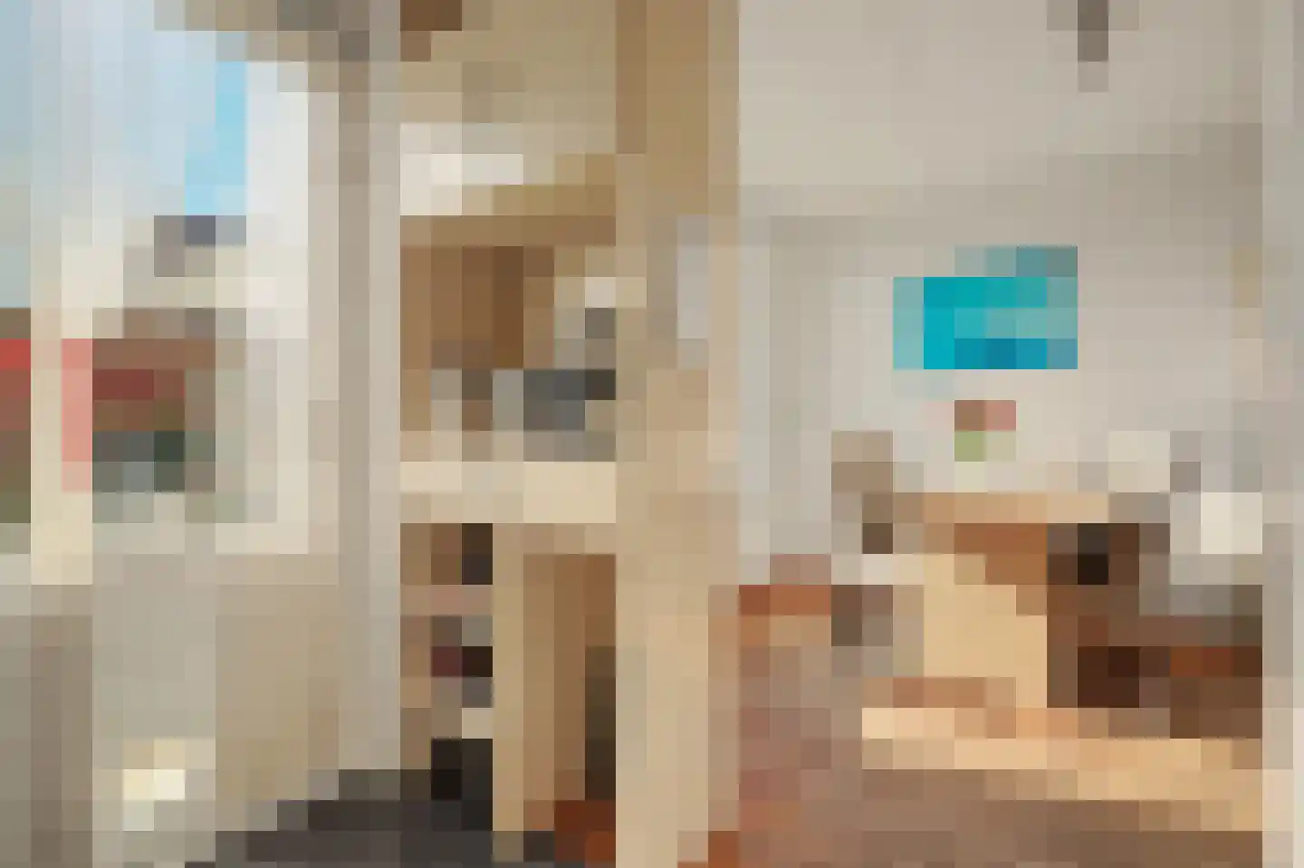 Sichuytdam 19 Rilland thumbnail 14