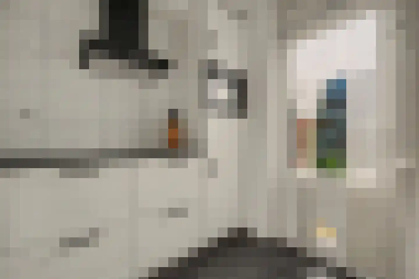 Sichuytdam 19 Rilland thumbnail 15