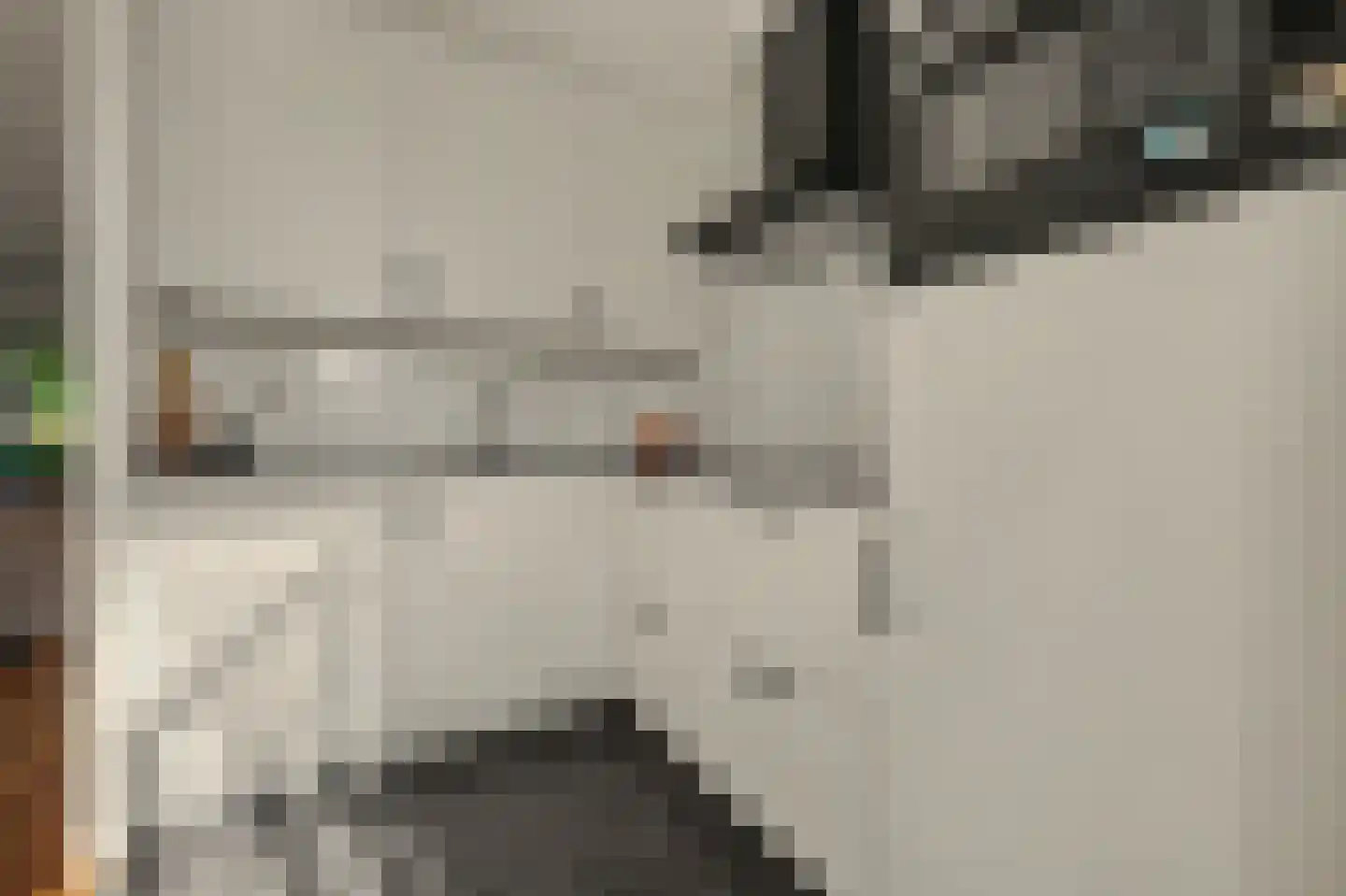Sichuytdam 19 Rilland thumbnail 16