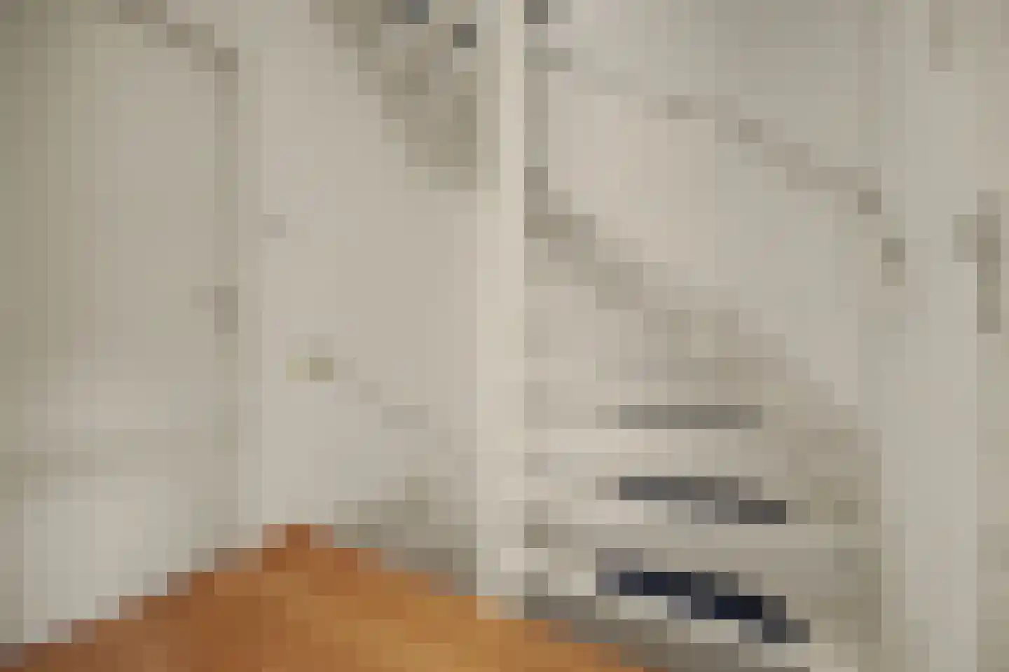 Sichuytdam 19 Rilland thumbnail 17
