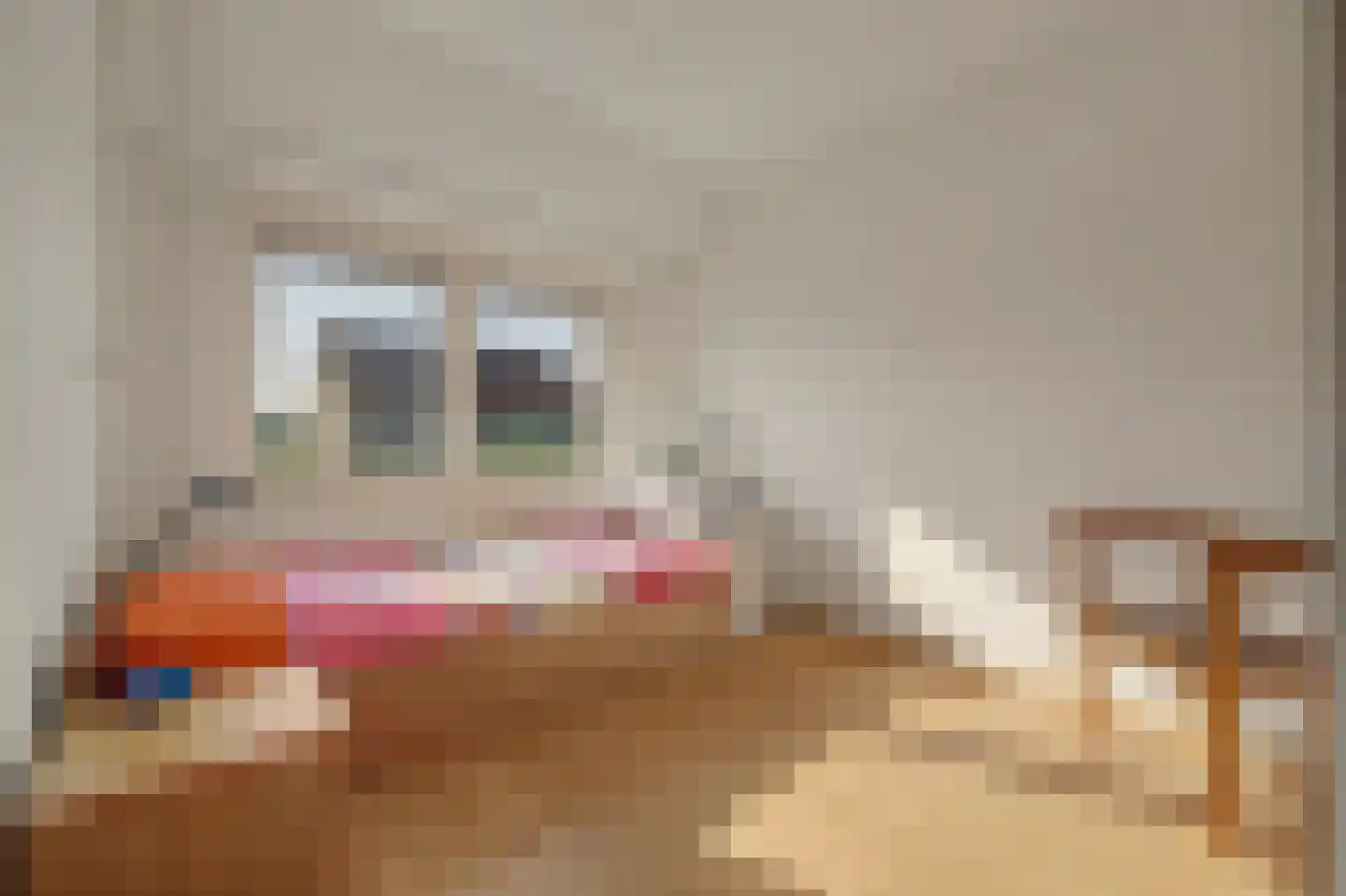 Sichuytdam 19 Rilland thumbnail 23