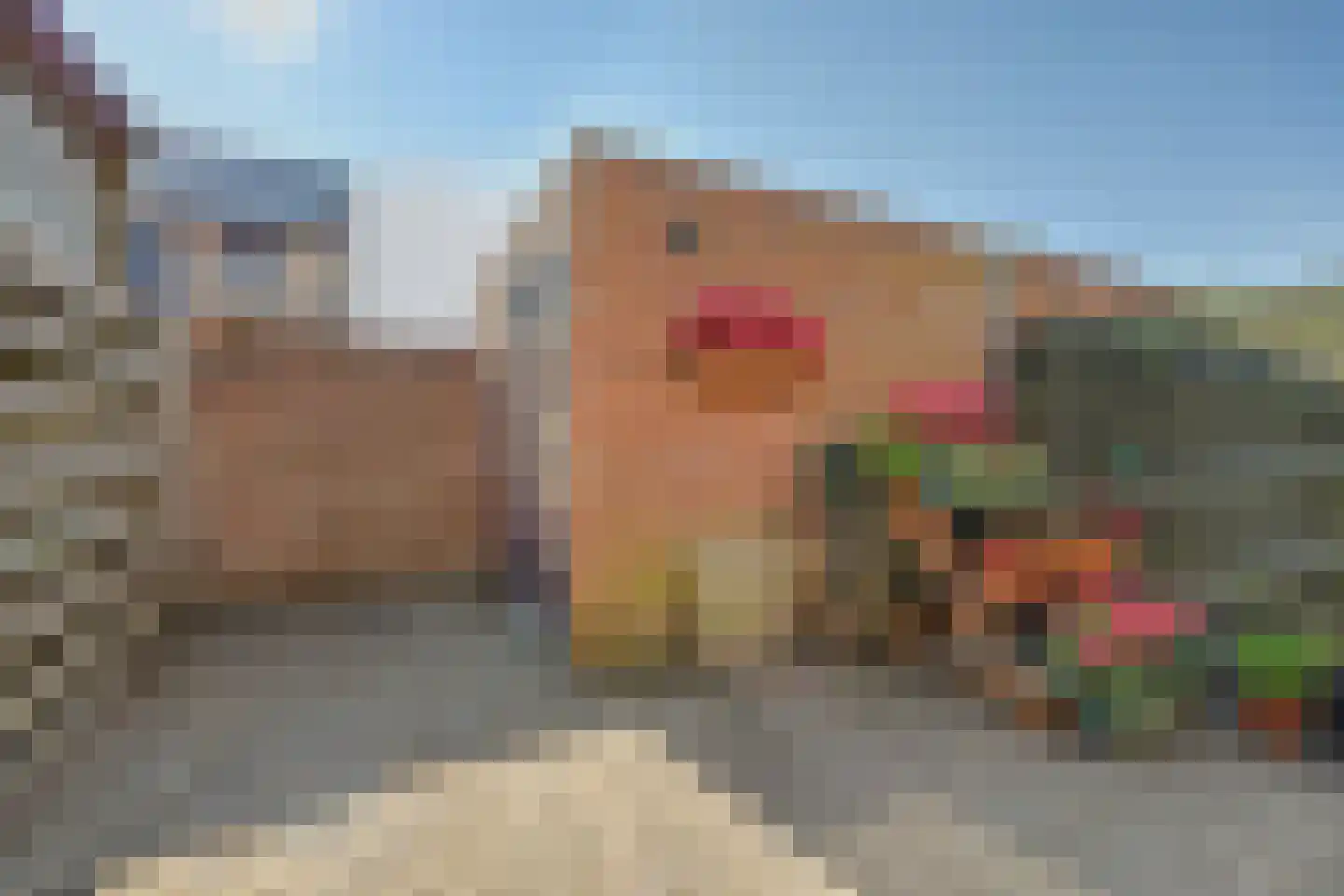 Sichuytdam 19 Rilland thumbnail 33