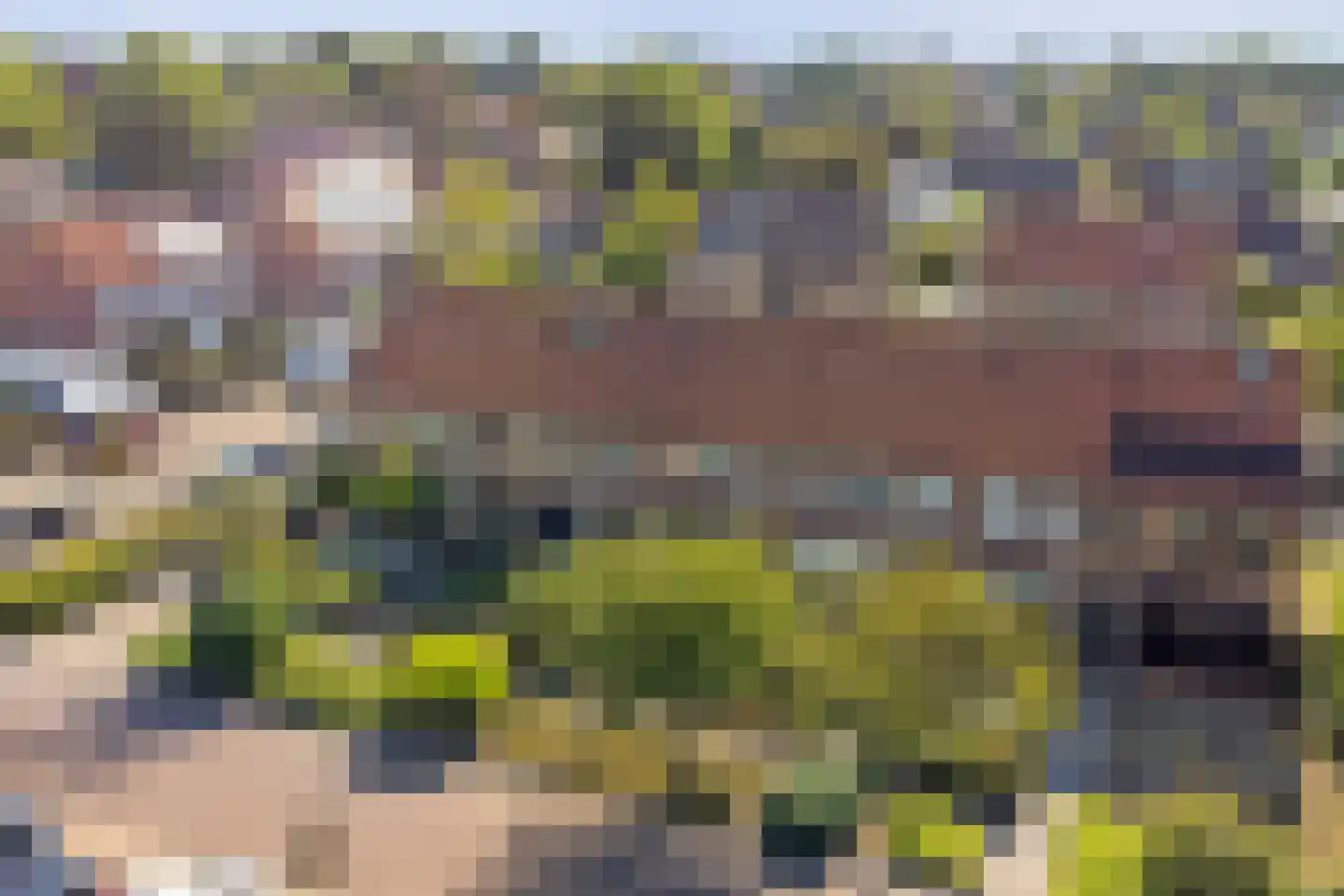 Sichuytdam 19 Rilland thumbnail 38