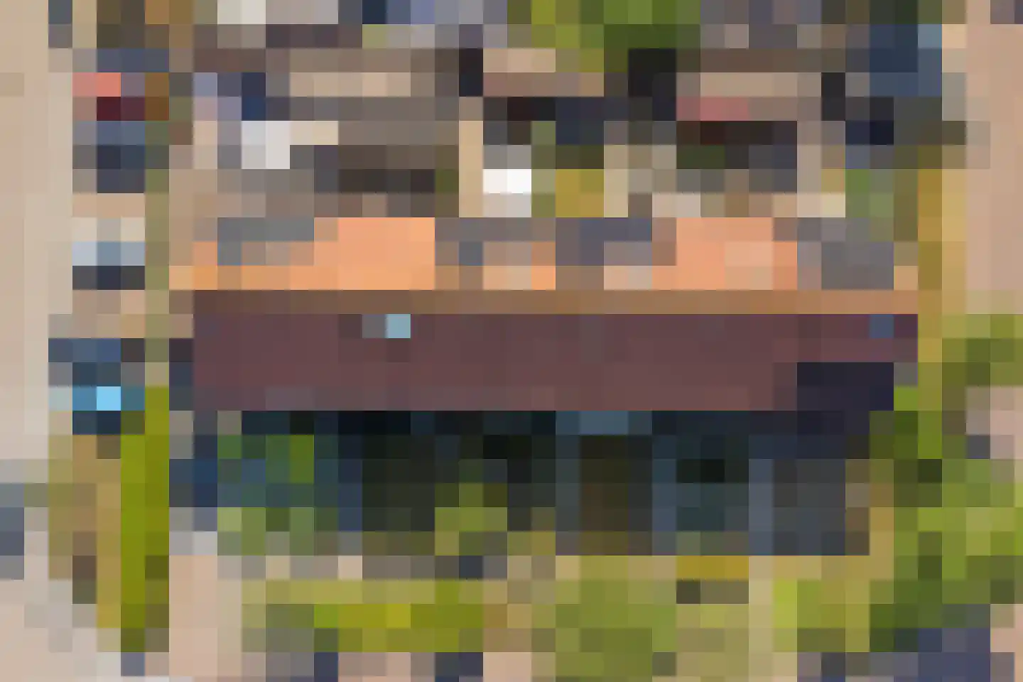 Sichuytdam 19 Rilland thumbnail 39