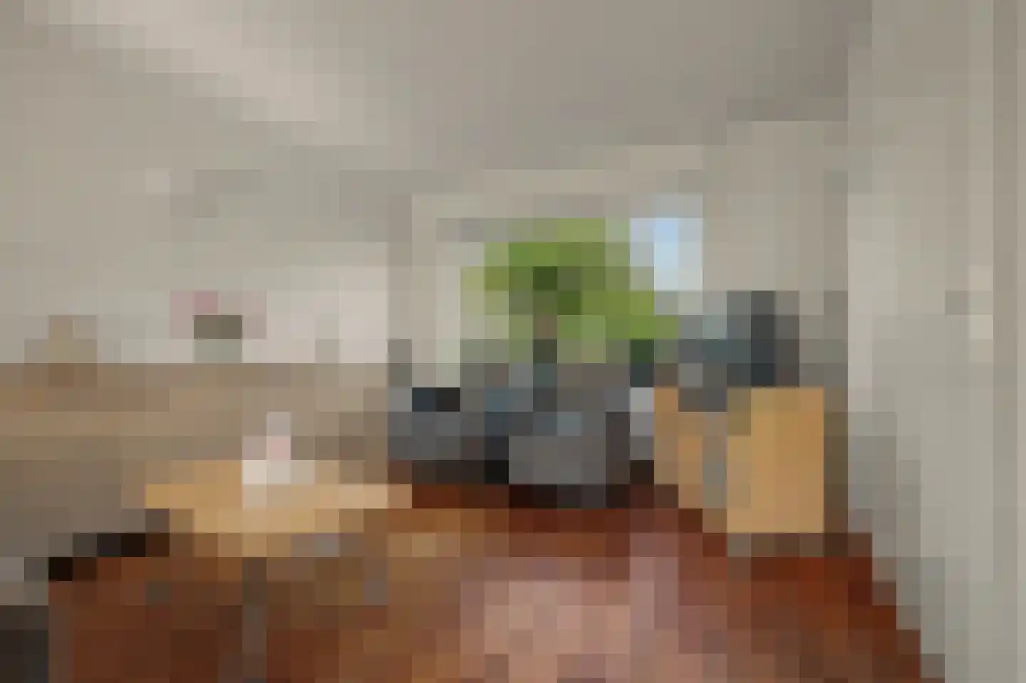 Sichuytdam 19 Rilland thumbnail 7