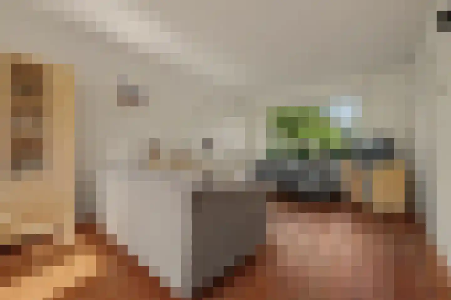 Sichuytdam 19 Rilland thumbnail 8