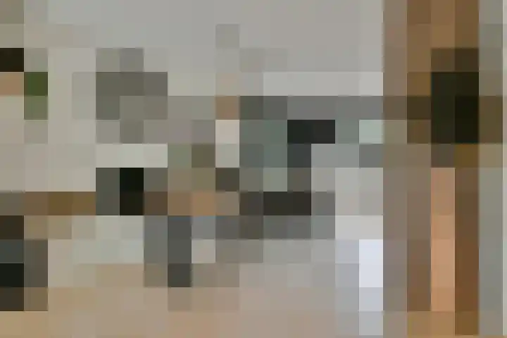 Siciliano 1 Nieuw-Vennep thumbnail 13