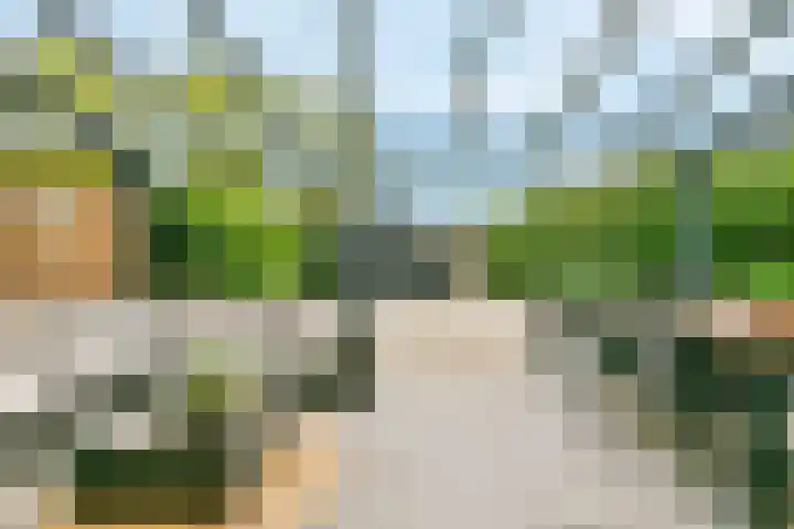 Siciliano 1 Nieuw-Vennep thumbnail 18
