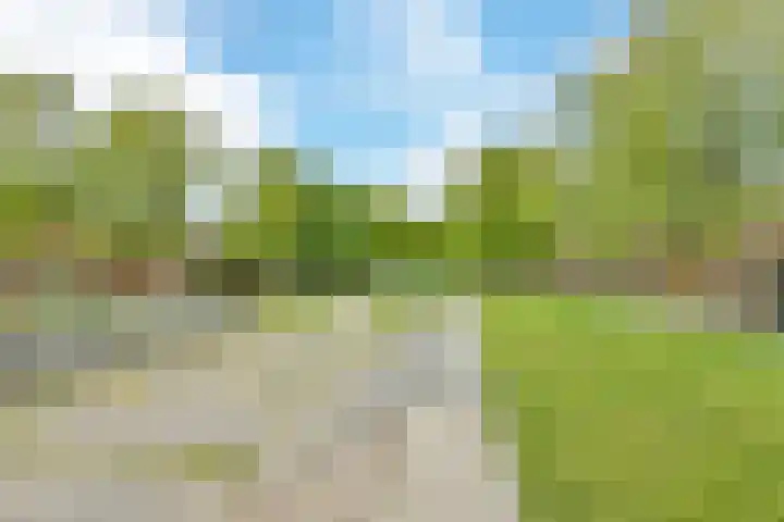 Siciliano 1 Nieuw-Vennep thumbnail 40