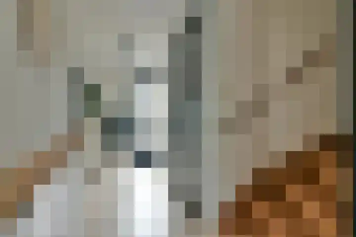 Siciliano 1 Nieuw-Vennep thumbnail 6
