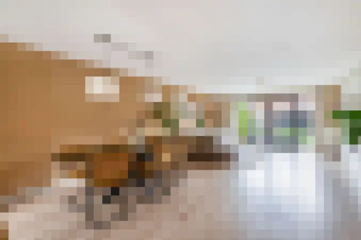 Siciliano 14 Nieuw-Vennep thumbnail 10