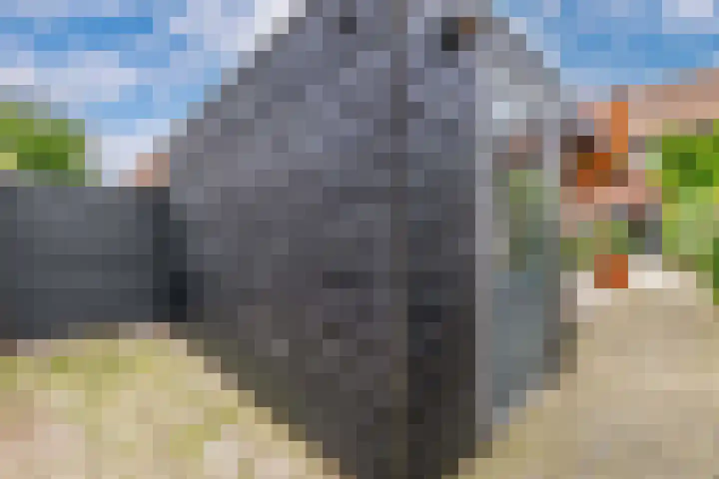 Siciliano 14 Nieuw-Vennep thumbnail 23