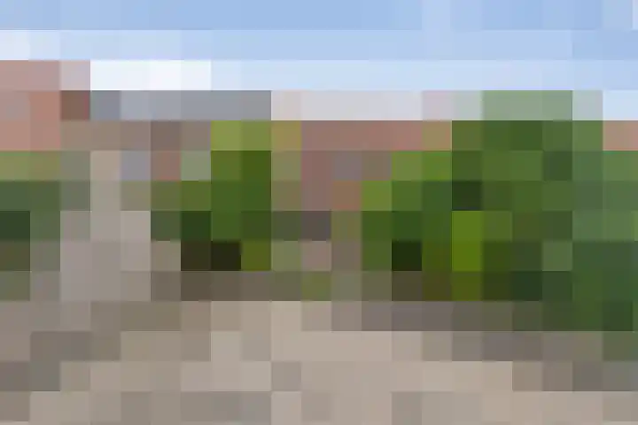 Siciliano 22 Nieuw-Vennep thumbnail 12