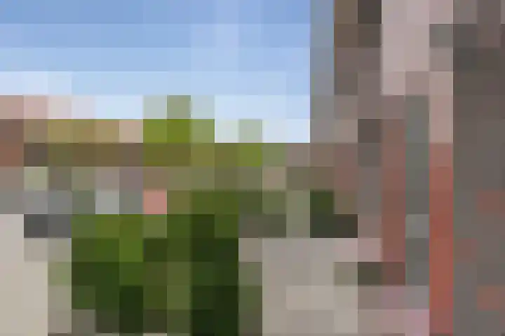 Siciliano 22 Nieuw-Vennep thumbnail 35
