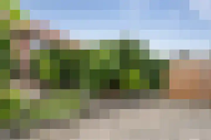 Siciliano 22 Nieuw-Vennep thumbnail 8