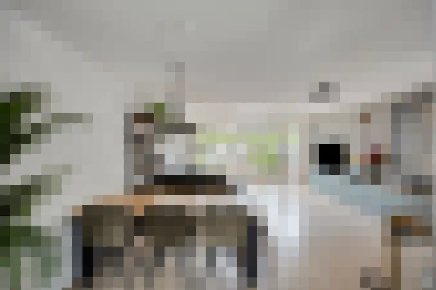 Siciliano 36 Nieuw-Vennep thumbnail 5