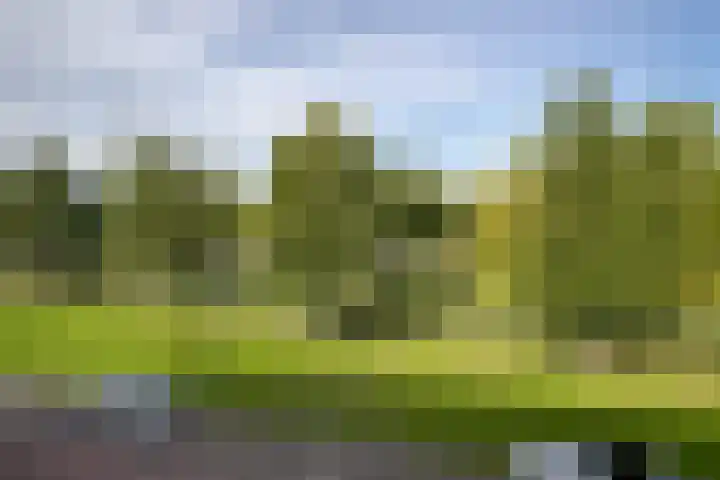 Siciliano 7 Nieuw-Vennep thumbnail 33