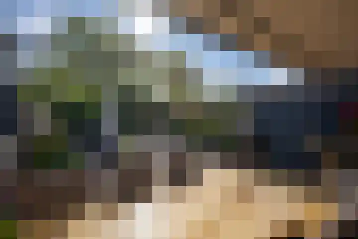 Siciliano 7 Nieuw-Vennep thumbnail 36