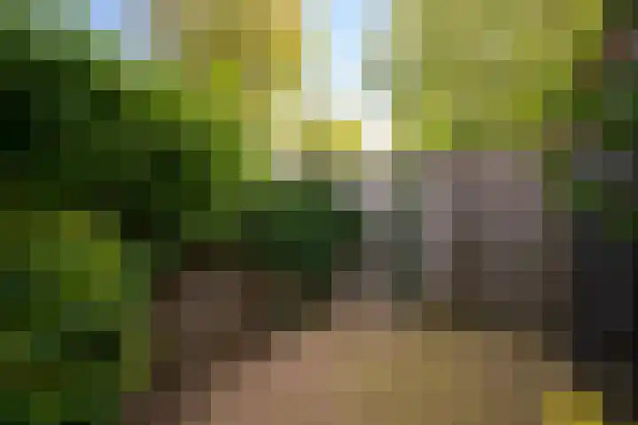 Siciliano 7 Nieuw-Vennep thumbnail 41