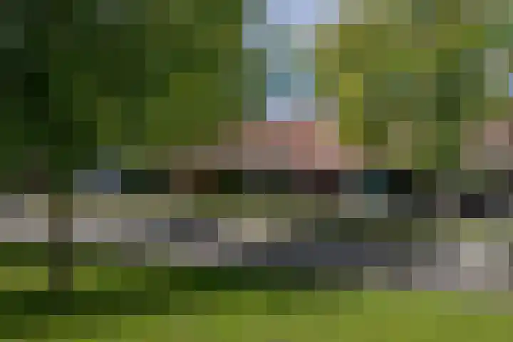 Siciliano 7 Nieuw-Vennep thumbnail 44