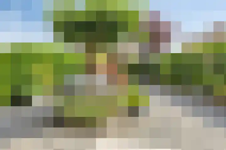 Sicilië 12 Zoetermeer thumbnail 47