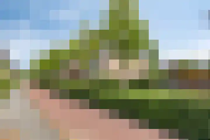 Sicilië 12 Zoetermeer thumbnail 54