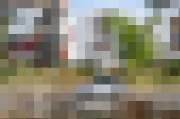 Siciliëboulevard 214 Rotterdam thumbnail 54