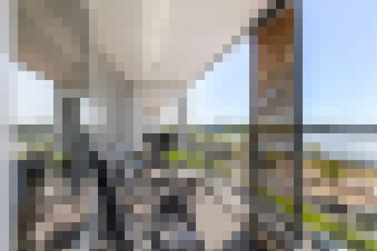 Siciliëboulevard 250 F Rotterdam thumbnail 37