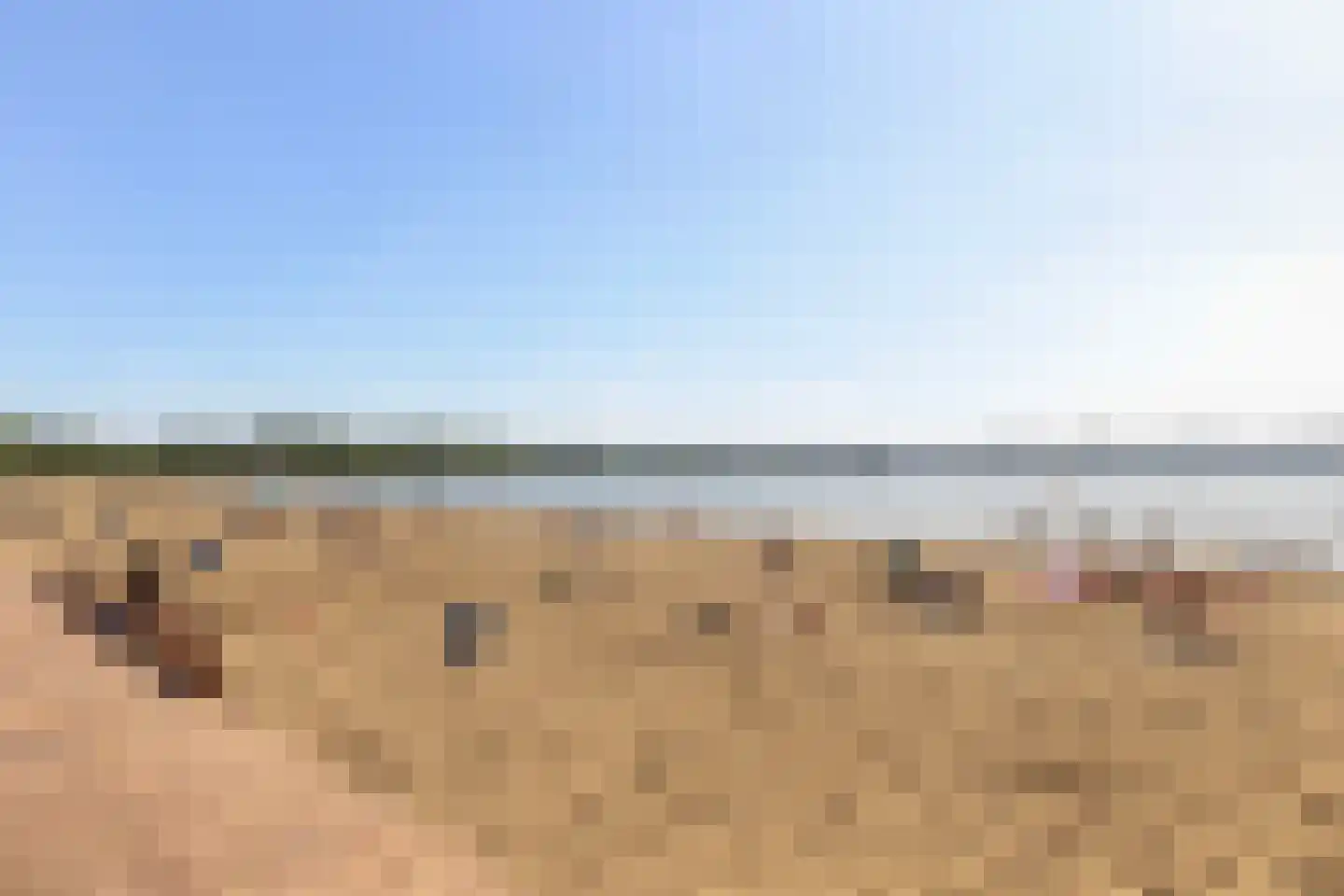 Siciliëboulevard 250 F Rotterdam thumbnail 45