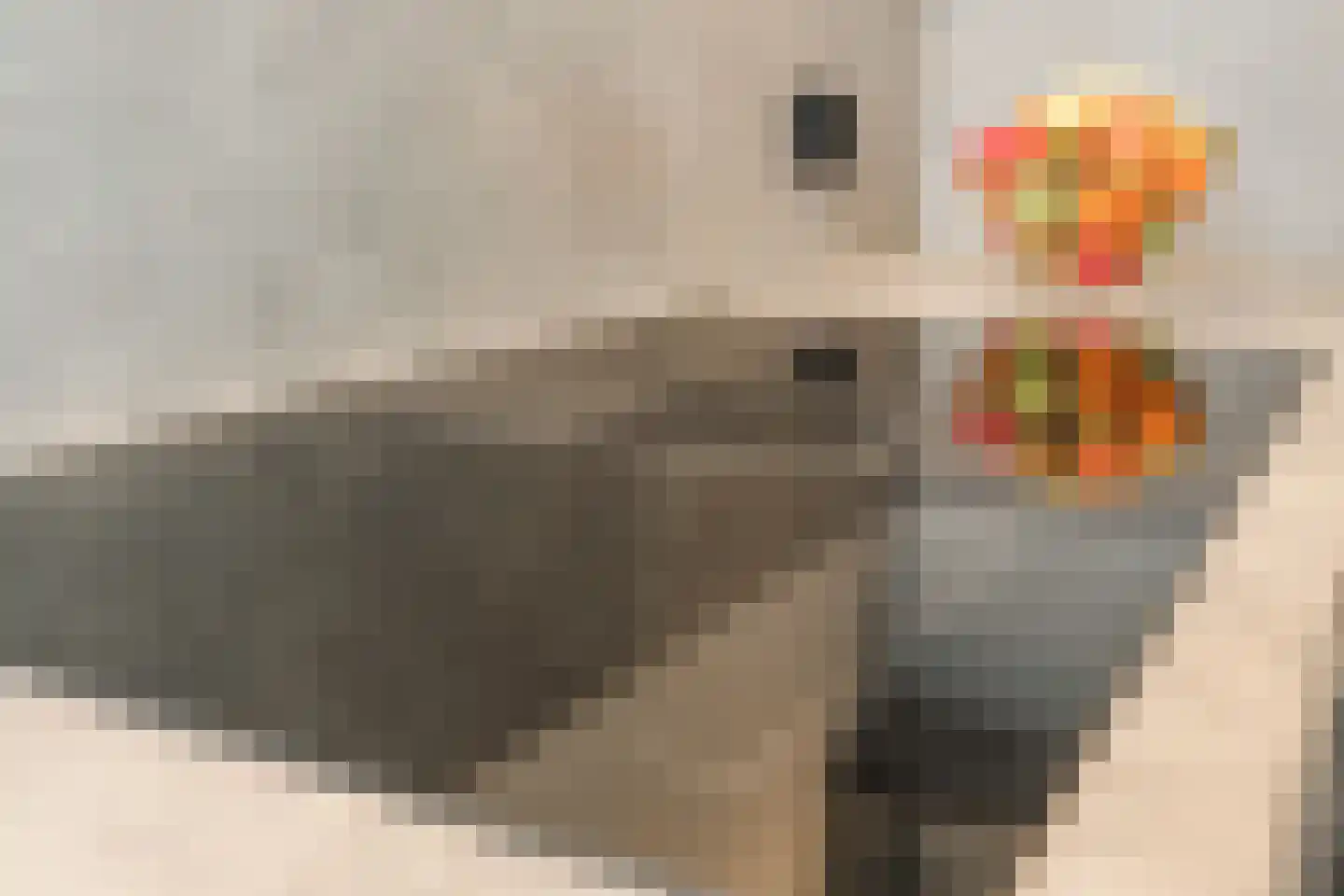 Siciliëpad 18 Eindhoven thumbnail 18