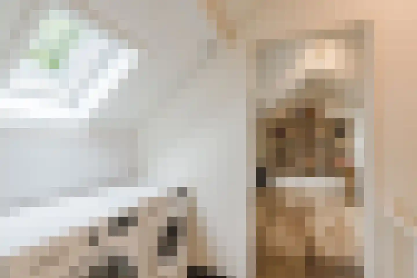 Siciliëpad 18 Eindhoven thumbnail 35