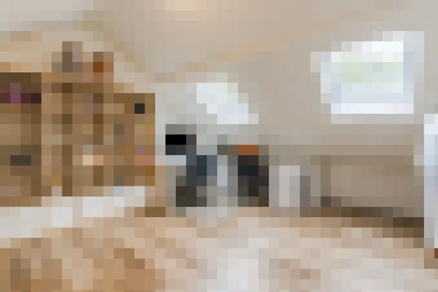 Siciliëpad 18 Eindhoven thumbnail 37