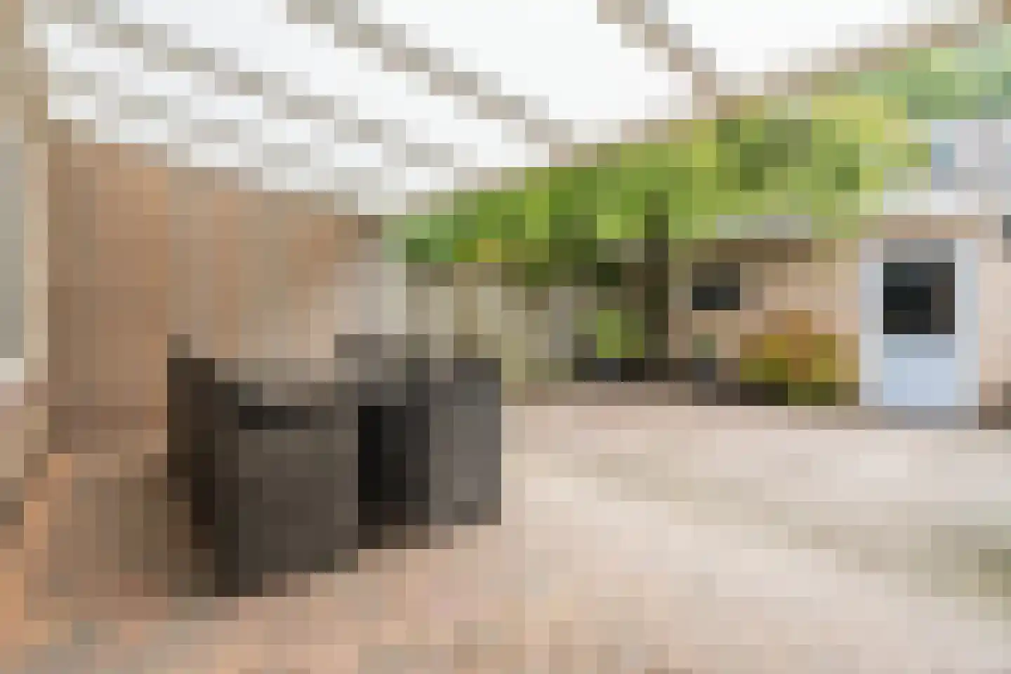 Siciliëpad 18 Eindhoven thumbnail 41