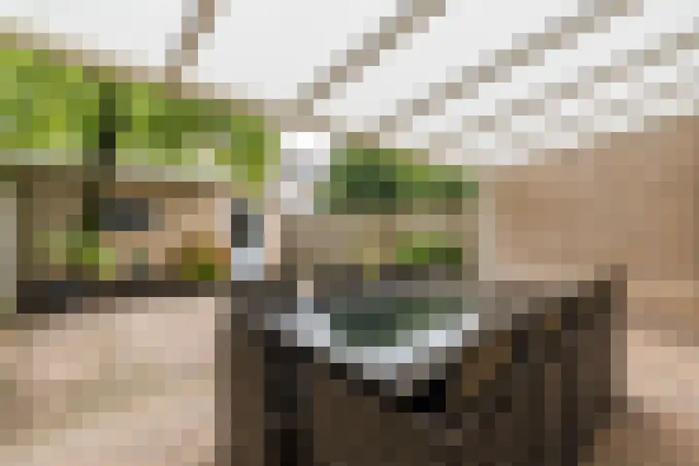 Siciliëpad 18 Eindhoven thumbnail 42