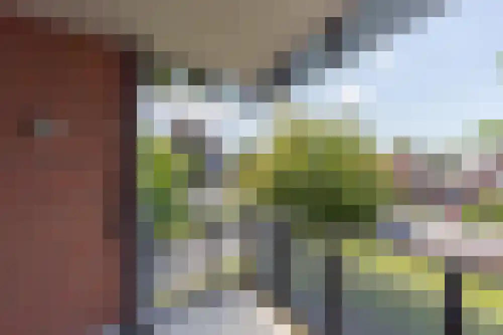 Sickengaoord 131 Wolvega thumbnail 14