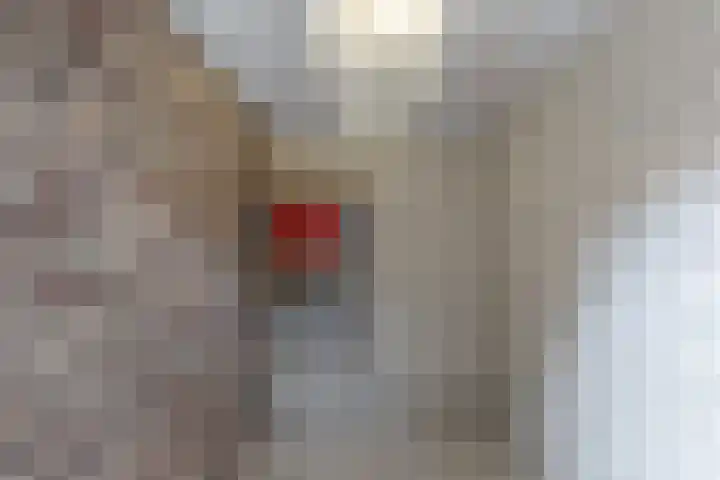 Sickengaoord 35 Wolvega thumbnail 20
