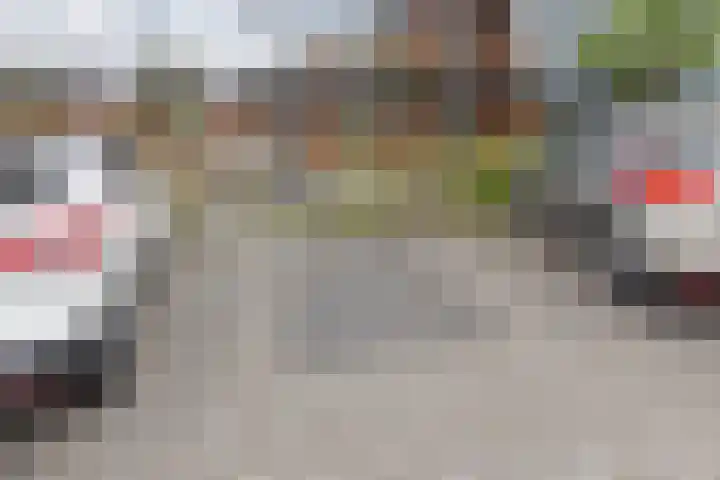 Sickengaoord 35 Wolvega thumbnail 21