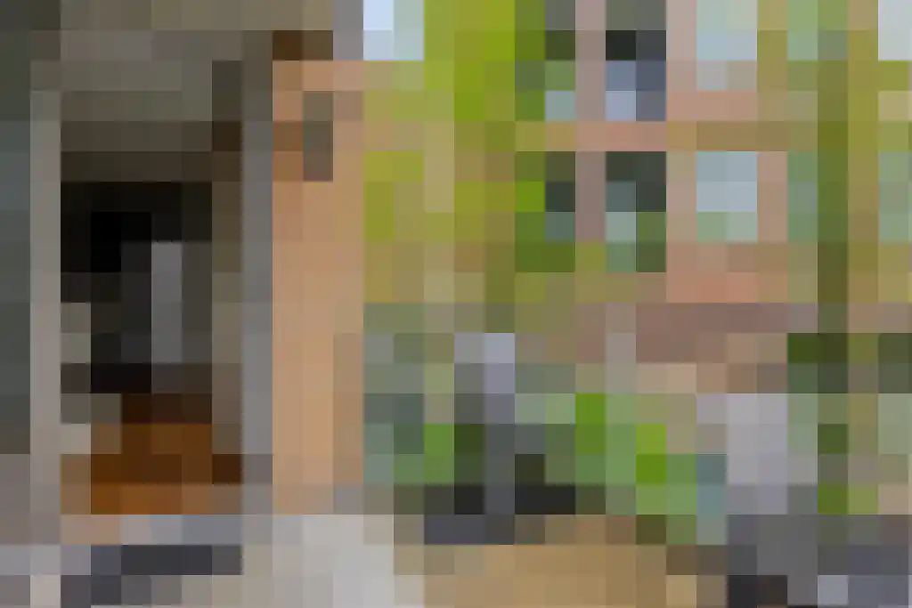 Sickeszlaan 16 Arnhem thumbnail 5