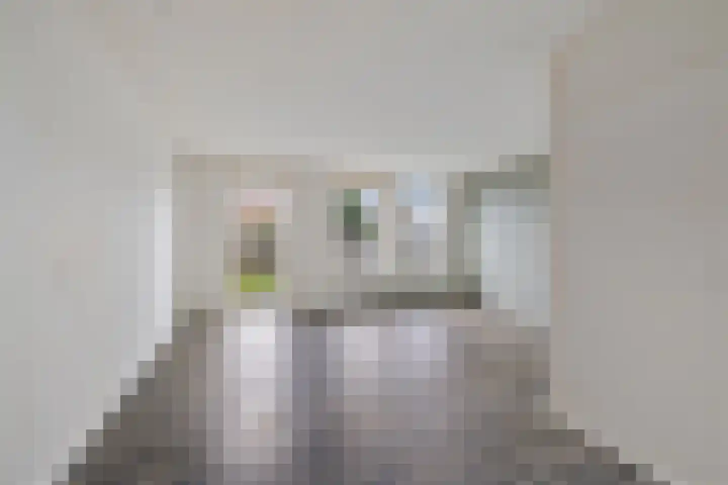 Sickingastate 37 Leeuwarden thumbnail 17