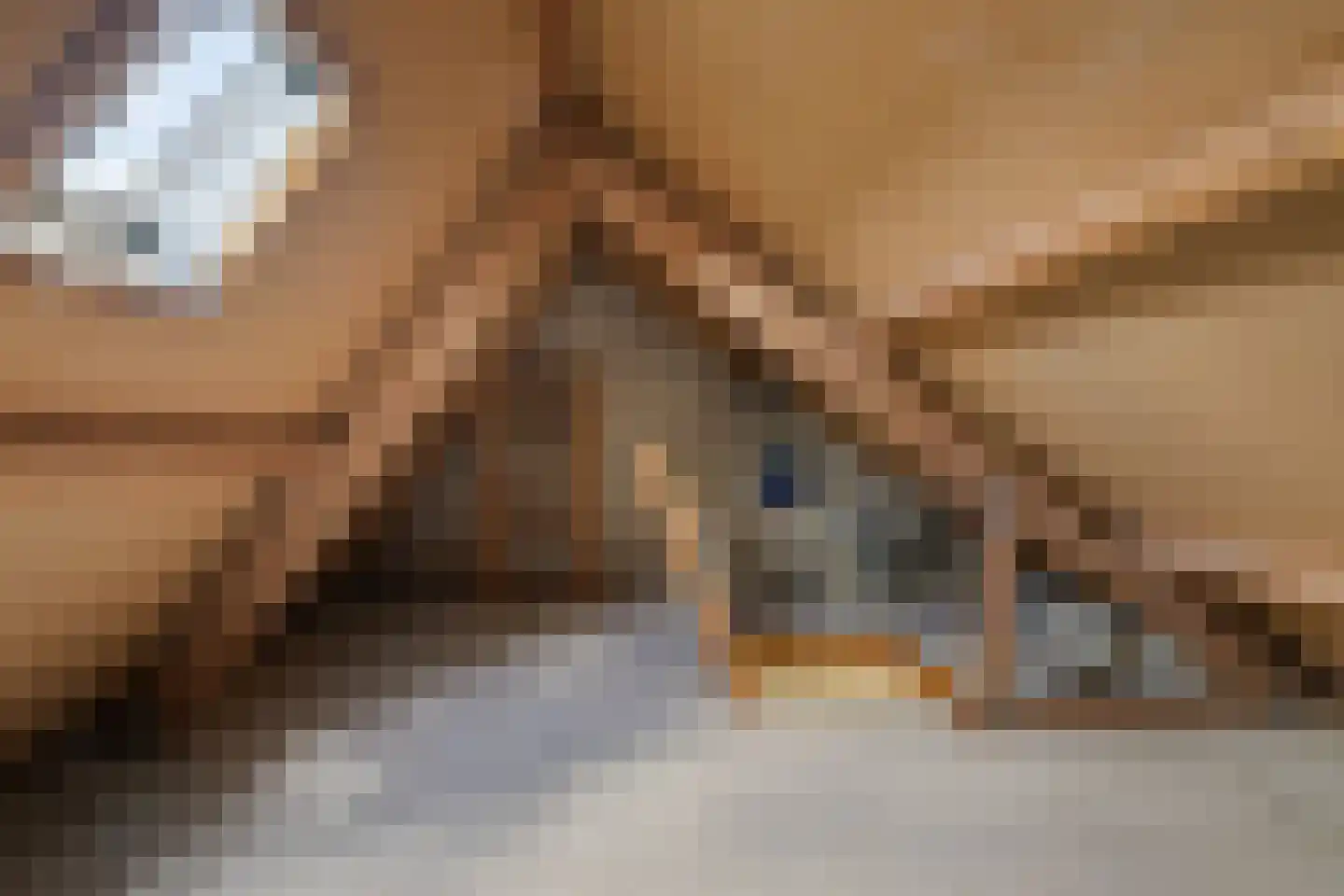 Sickingastate 37 Leeuwarden thumbnail 22