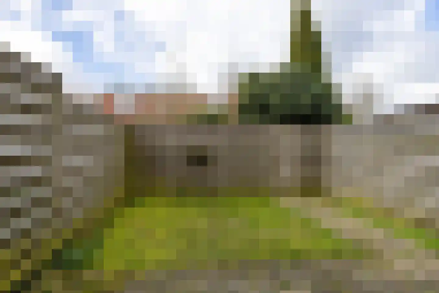 Sickingastate 37 Leeuwarden thumbnail 34