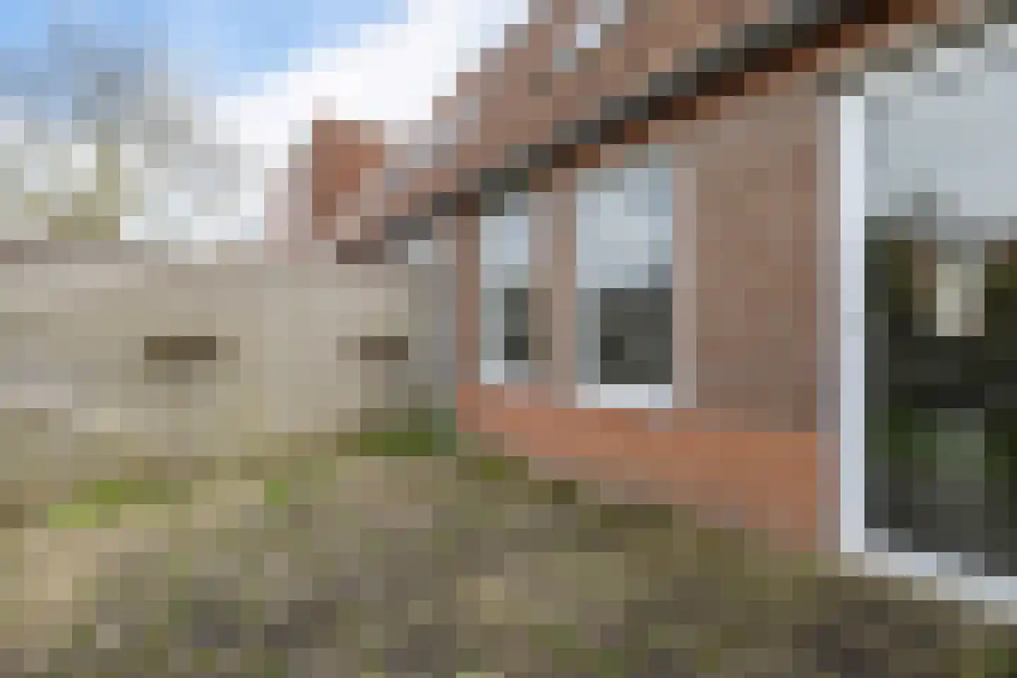 Sickingastate 37 Leeuwarden thumbnail 35