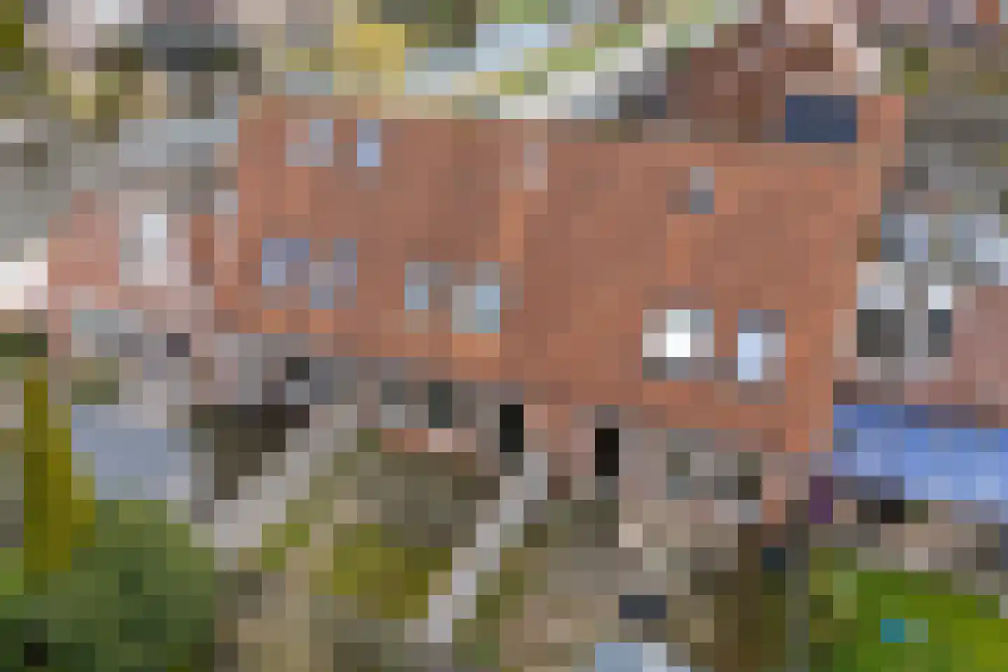Sickingastate 37 Leeuwarden thumbnail 41