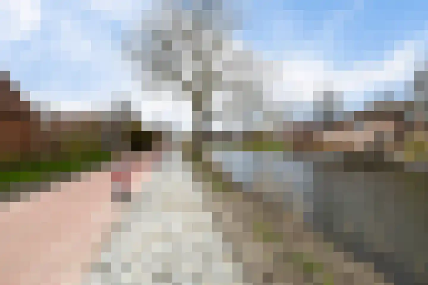 Sickingastate 37 Leeuwarden thumbnail 7