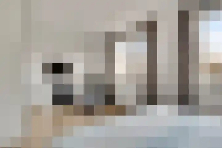 Sicofstraat 10 Beek thumbnail 20