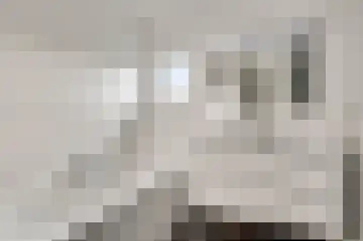 Sicofstraat 10 Beek thumbnail 28