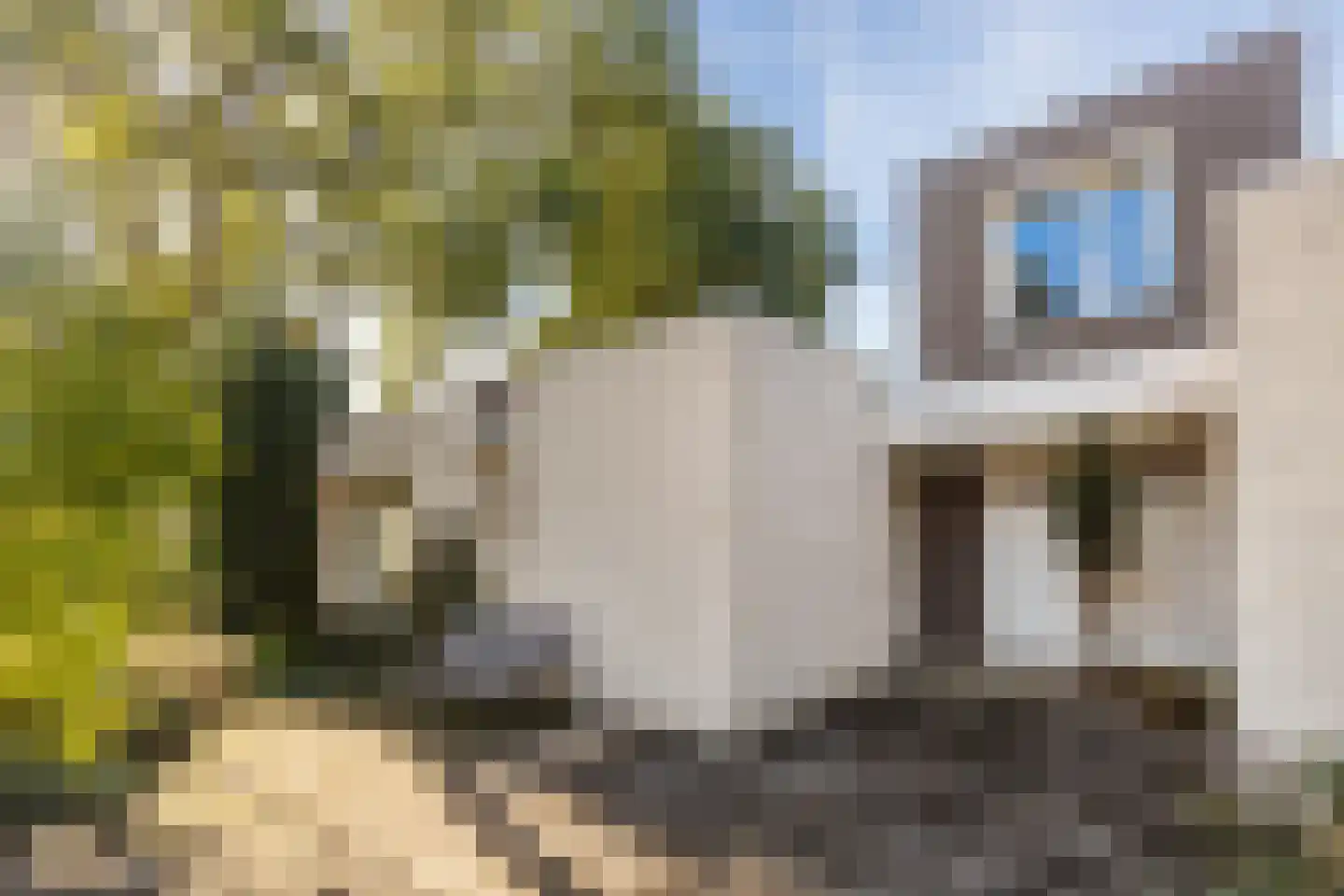 Sicofstraat 2 Beek thumbnail 14