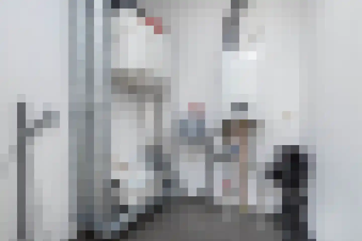 Sicofstraat 2 Beek thumbnail 38