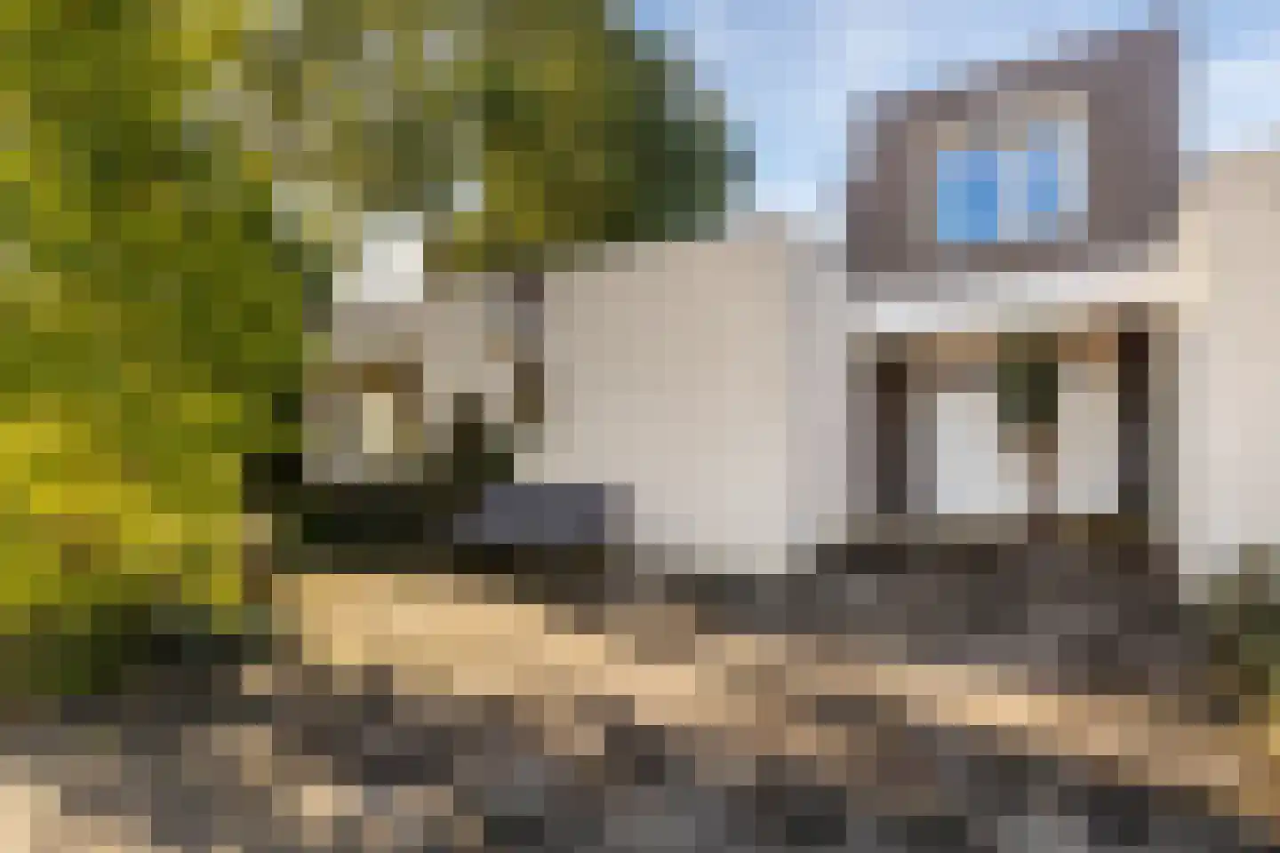 Sicofstraat 2 Beek thumbnail 43